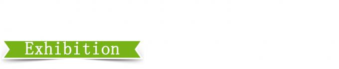 25T presisi kontrol tinggi Percetakan vulkanisasi piring 4