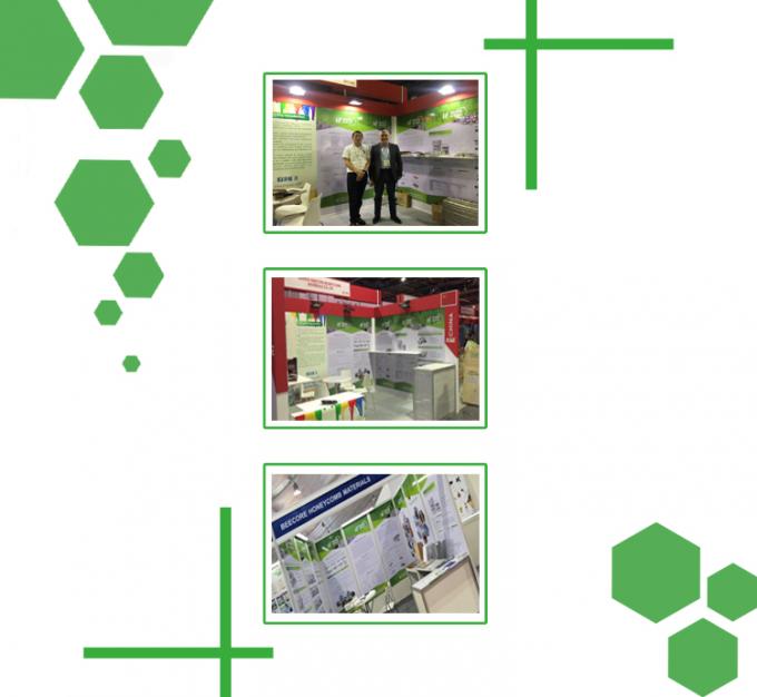 25T presisi kontrol tinggi Percetakan vulkanisasi piring 5