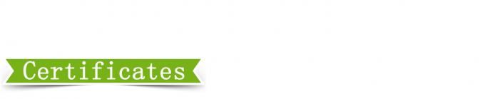 25T presisi kontrol tinggi Percetakan vulkanisasi piring 6