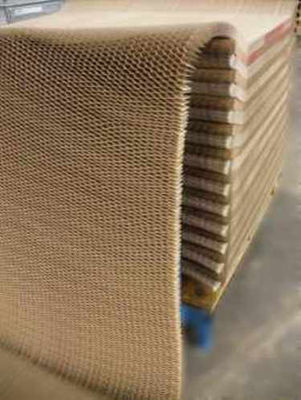 Terus-menerus kertas biasa Honeycomb pintu inti disesuaikan dalam berbagai ukuran