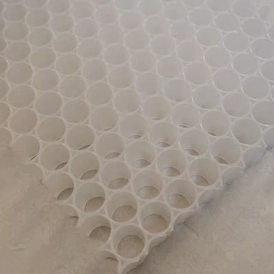 Pickleball Paddle PP Plastik Honeycomb Inti 1220x2440mm